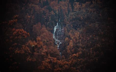 Download Wallpaper 3840x2400 Forest Trees Rock Waterfall Landscape