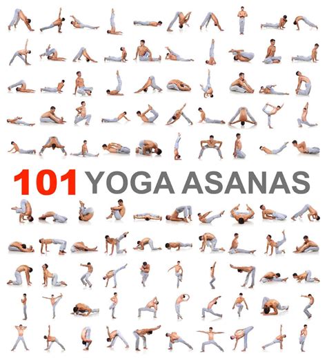 Here S The Ultimate Yoga Pose Directory Featuring 101 Popular Yoga Poses Asanas For Beginners