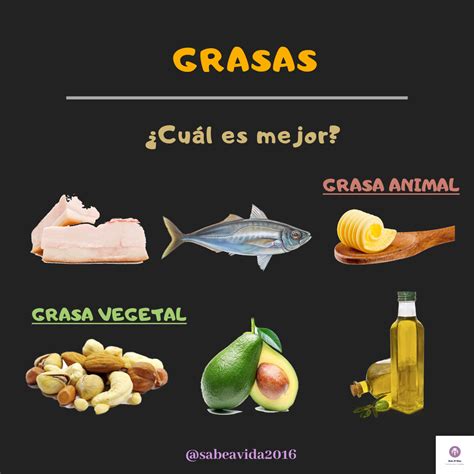 Las Grasas ♥ Sabe A Vida Nutrición Humana Y Dietética ♥