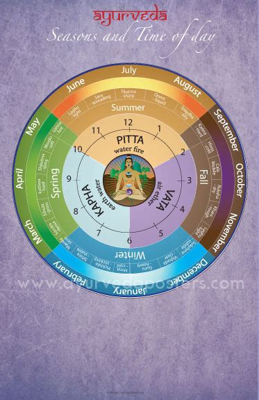Dosha Clock And Season Medium Chart Ayurveda Posters