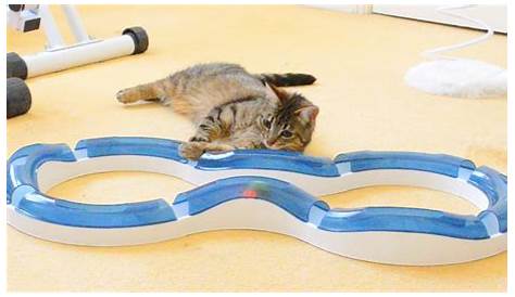 Five of the Best Toys for Blind Cats