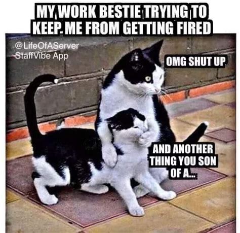 Pin By Cyndy Dent Brooks Fetty On Cats Quack Me Up Work Humor