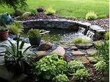 If your outdoor pond is between 50 and 500 gallons. How to build a pond in your garden | HireRush Blog