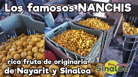 Sabrosos Nanchis Se Cultivan En La Isla De La Piedra Youtube
