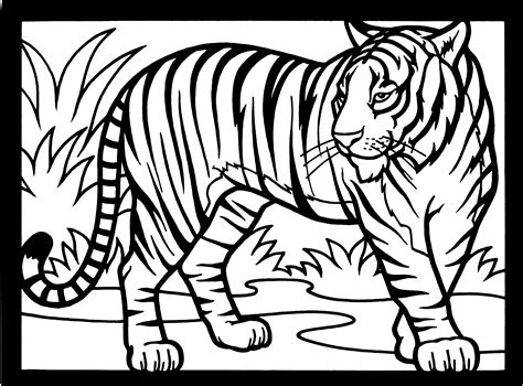 Coloring book page for kids. Free Tiger Coloring Pages