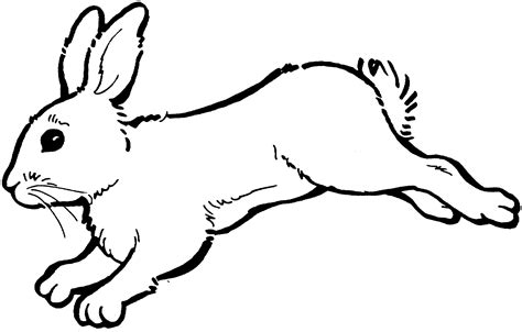 Jumping Rabbit Drawing Bunny Clipart Black And White Hopping Bunny
