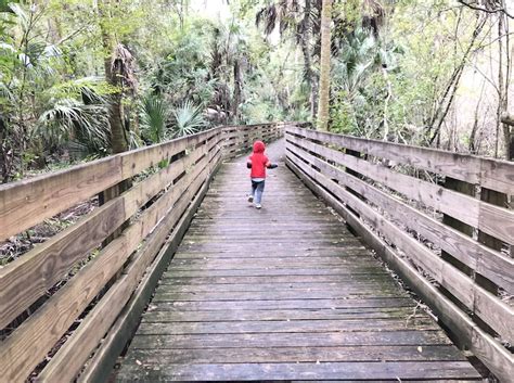 20 Beautiful And Easy Hikes In Tampa Bay Everyone Should Explore Tampa