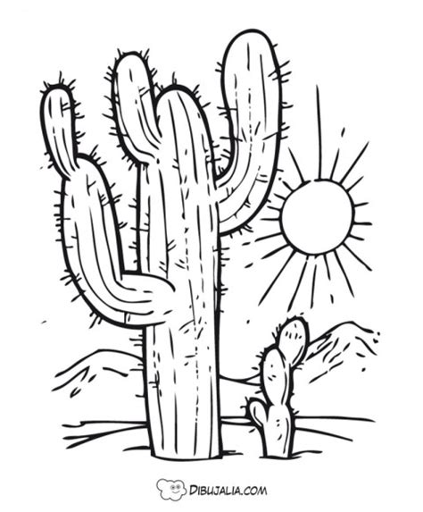 Cactus Del Desierto Dibujo Dibujalia Dibujos Para Colorear Y Recursos Educativos