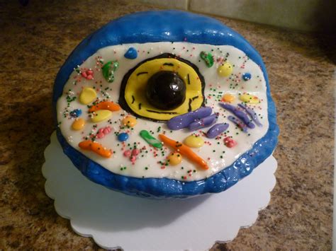 The animal cell is a great way to learn about how the cells work and what the different parts are thickness is great work is great because of the different colors i'd recommend it the best way to learn how to name all the. Crazy About Cakes: An Edible Animal Cell Model