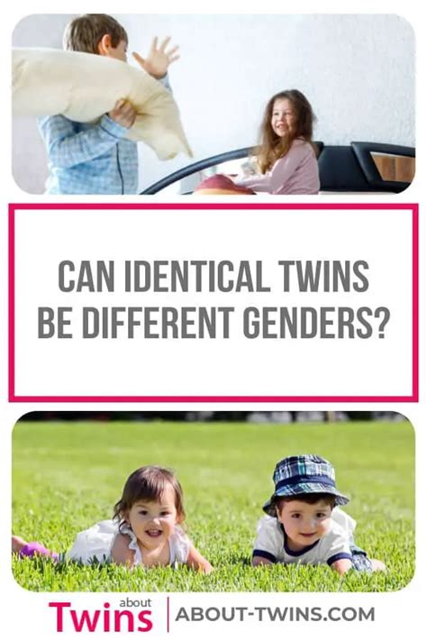 can similar twins be male and feminine about twins