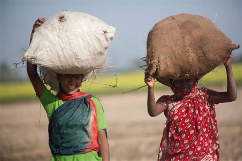 Lavoro minorile, 115 milioni i bambini da liberare | UNICEF Italia