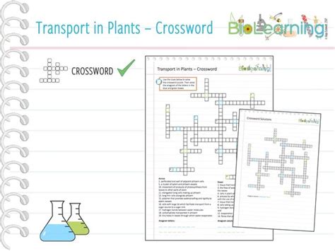 Transport In Plants Crossword Ks5 Teaching Resources
