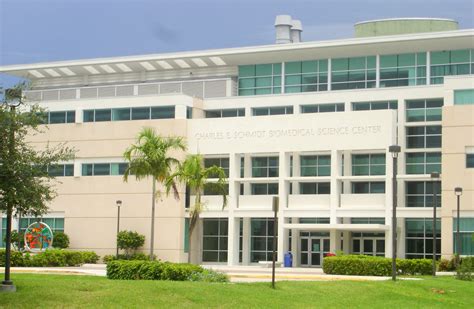 Florida Atlantic University Research Boca Raton Education Britannica