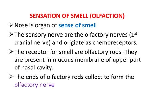 Solution Structure And Function Of Nose Studypool