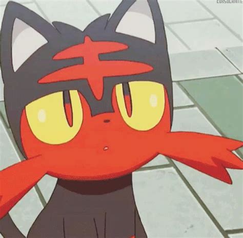 Litten ´• ω •` ♡ Pokemon Anime Eevee Evolutions