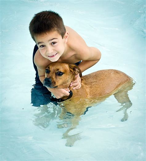 Medina Countys Care To Host Doggie Pool Party
