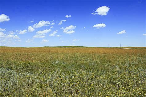 Grasslands Near Panorama Point At Panorama Point Nebraska Image Free