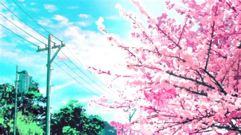 Anime Cherry Trees Wallpapers Wallpaper Cave