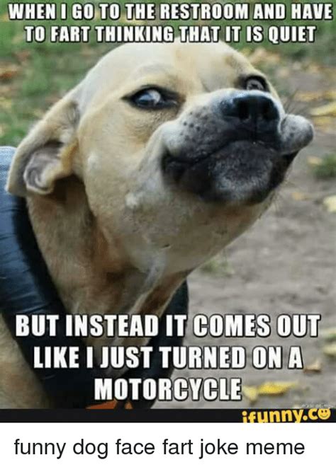 25 Best Memes About Funny Dog Faces Funny Dog Faces Memes