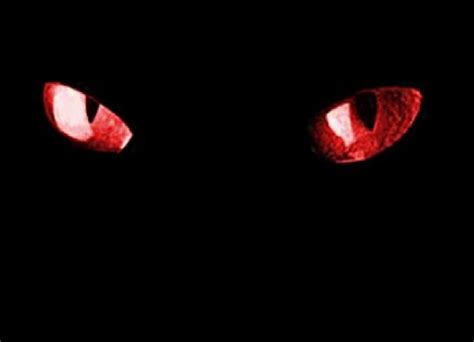 Stunning Collection Of Red Eyes Black Background For Your Device