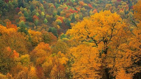 Autumn Nc Mountains Wallpapers Top Free Autumn Nc Mountains