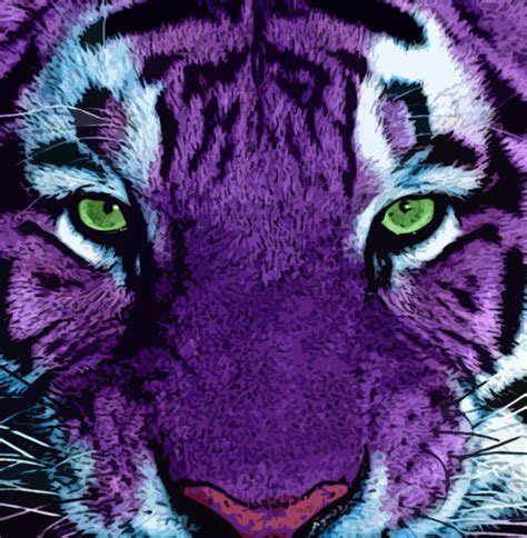 A Purple Tiger With Green Eyes Looks At The Camera