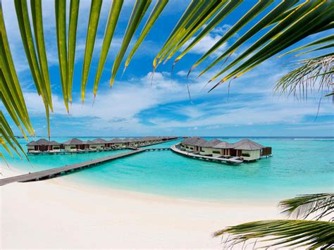 Best Price On Paradise Island Resort And Spa In Maldives Islands Reviews