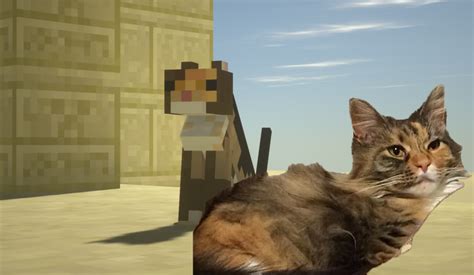 A New Cat Texture For My Own Custom Texture Pack Based On My Own Princess Minecraft