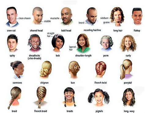 Top 81 Name Of Different Hairstyle Best Ineteachers