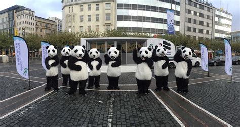 Chengdus Virtual Reality City Advertisement Activity Panda Rail Vr