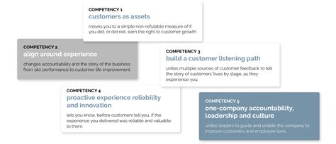 The 5 Competency Framework Customer Bliss