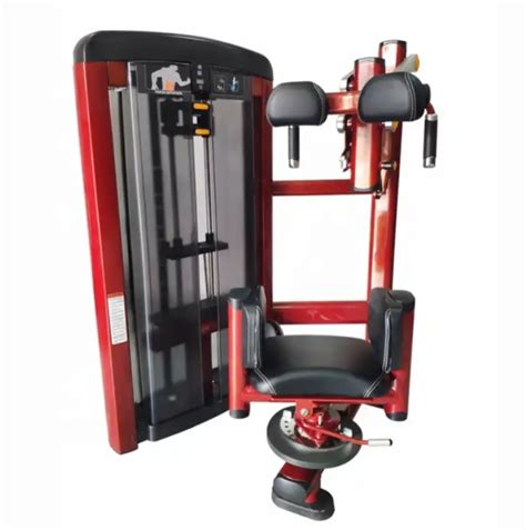 Gym Fitness Equipment Pin Load Selection Machines Torso Rotation