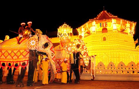 Festivals In Sri Lanka Arooha Tours Sri Lanka