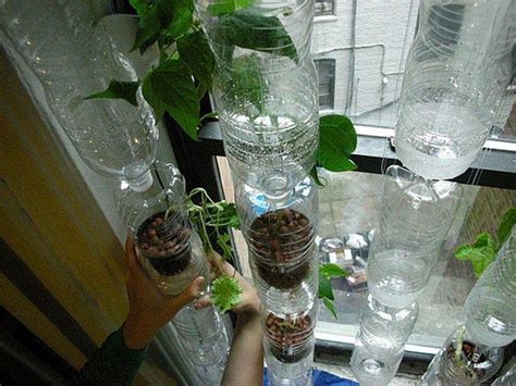 Build A Vertical Garden From Recycled Soda Bottles Diy Projects For