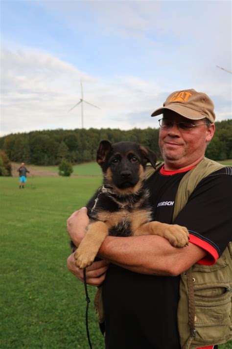 Meet The Team Haus Amberg Shepherds German Shepherd Breeder Puppies