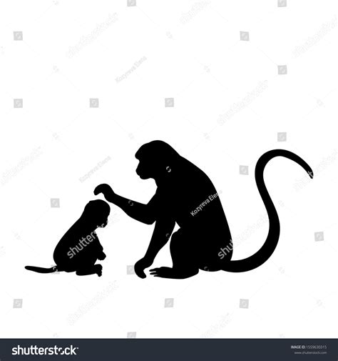 Silhouette Monkey Young Little Monkey Vector Stock Vector Royalty Free