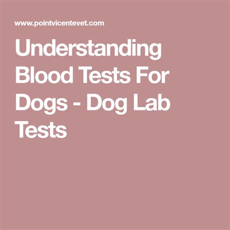 What Is A Cbc Blood Test For Dogs Peter Brown Bruidstaart
