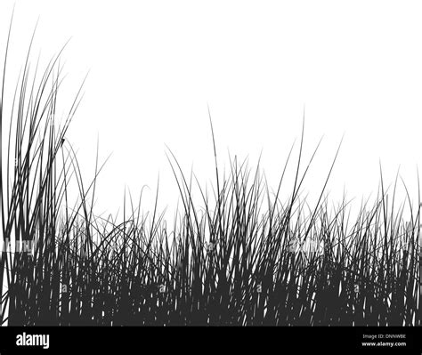 Vector Grass Silhouettes Background For Design Use Stock Vector Image