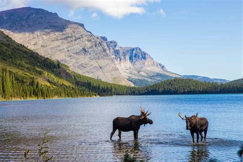 The Top Things To Do In Montana