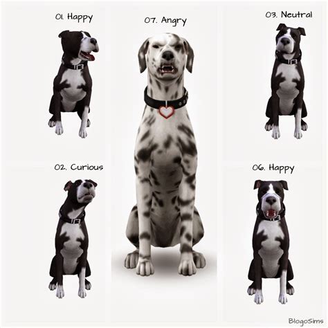 Best Daily Sims 3 S3 Large Dog Poses By Blogosims