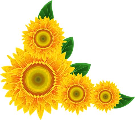 Sunflower Clip Art Images Xbox Sunflower Corner Border Png
