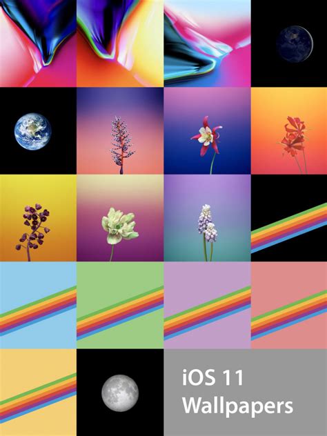 Free Download Download The Official Ios 11 Wallpapers For Iphone And