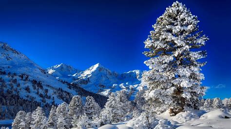 Hills Early Beautiful Trees Sky Winter Valley Mountain Snow