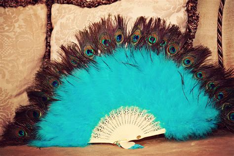 Peacock Fan From La France In Ybor Photo Props Peacock Feathers Peacock