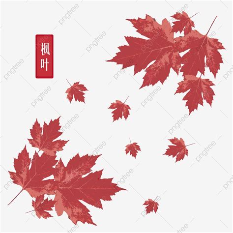 Watercolor Maple Leaf Vector Png Images Maple Leaf Maple Leaf Leaves Plant Maple Leaf Clipart