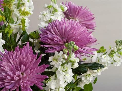 Flower Arrangement Chrysanthemums Flowers White Pink Hd Wallpaper