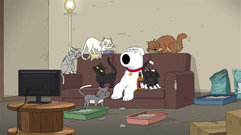 After she receives devastating news regarding her diagnosis, brian proposes marriage to her. FAMILY GUY Season 17 Episode 1 Photos Married With Cancer ...
