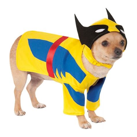 20 Superhero Halloween Costumes For Kids Grown Ups And Dogs Pet