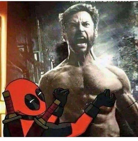 45 Epic Deadpool Memes That Will Make You Cry With Laughter Geeks On Coffee