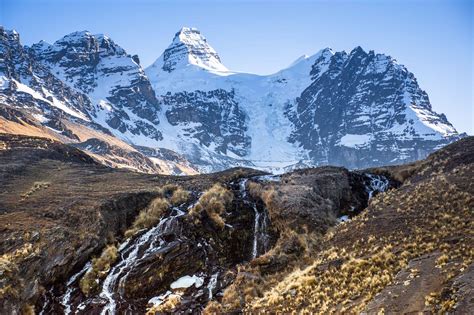 Andean Mountains: Scientists Find New, Rare and Rediscovered Species 1